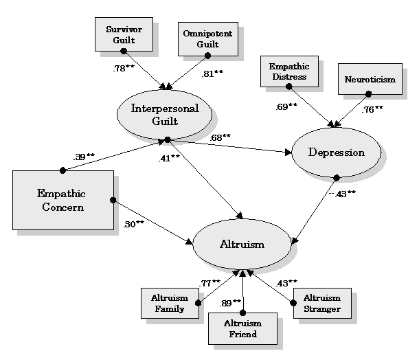 structural model